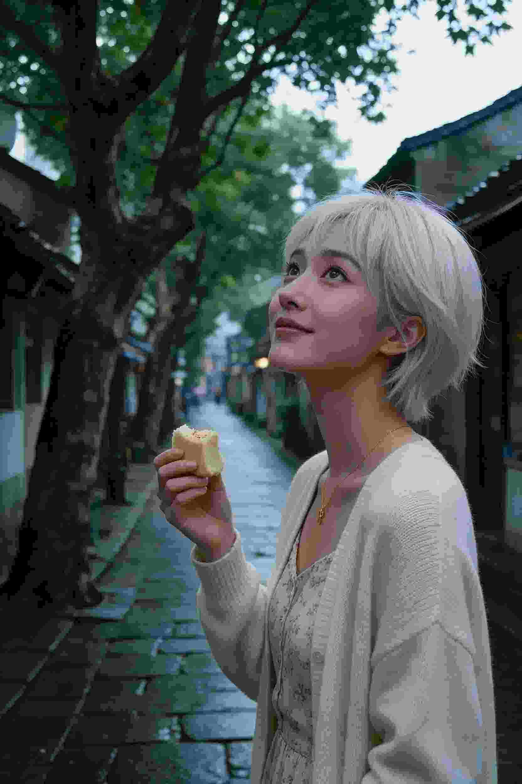 剧集封面